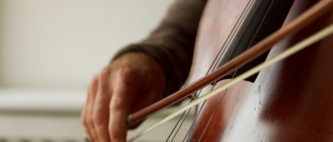 Cello Detail