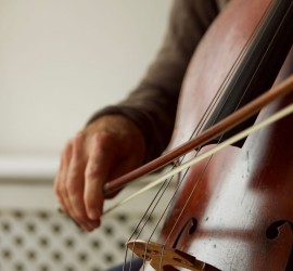Cello Detail